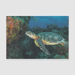 Sea Turtle in the Blue Ocean and Marine Life  Tissue Paper