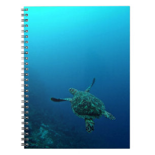 SEA TURTLE IN WATER NOTEBOOK