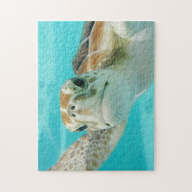 Sea turtle jigsaw puzzle  (Vertical)