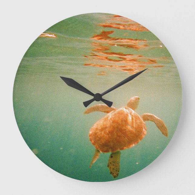 Sea Turtle Lage Wall Clock (Front)