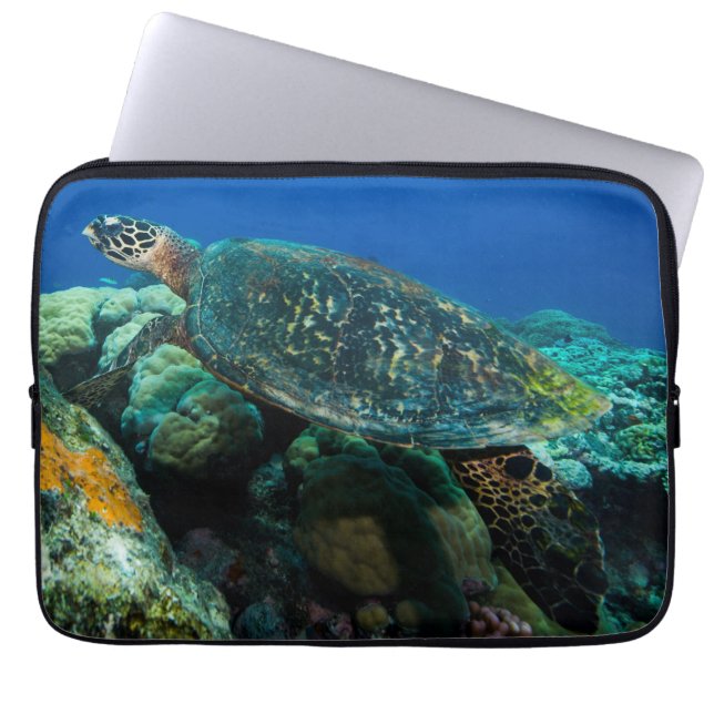 Sea Turtle Laptop Sleeve (Front)