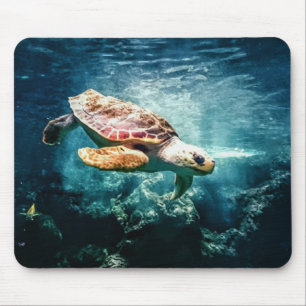 Sea Turtle Loggerhead  Mouse Pad