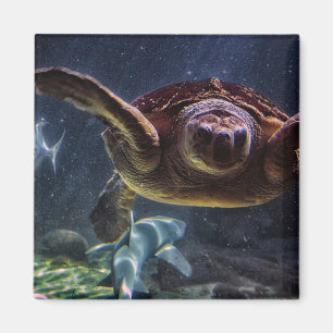Sea Turtle Magnet