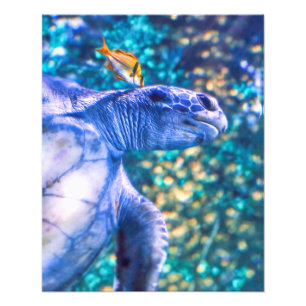 SEA TURTLE MANICURE PHOTO PRINT