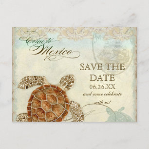 Sea Turtle Modern Coastal Ocean Beach Swirls Style Announcement Postcard