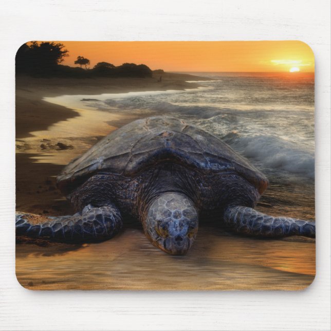 Sea Turtle Mousepad (Front)