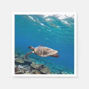Sea turtle napkin