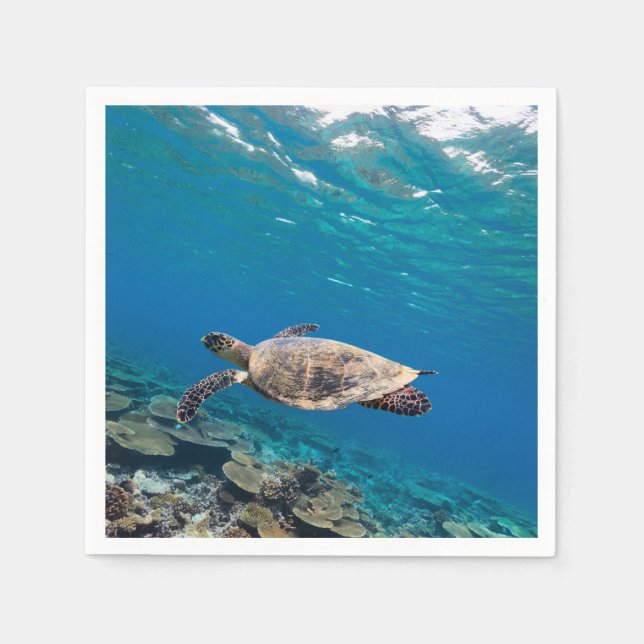 Sea turtle napkin (Front)