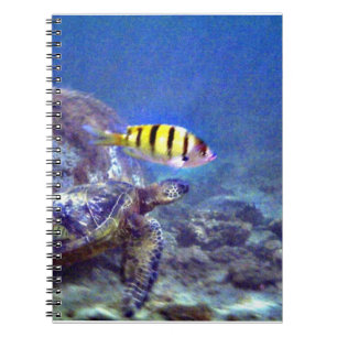 Sea turtle notebook
