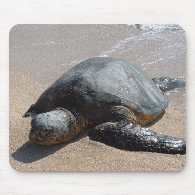 Sea Turtle - Oahu Hawaii Mouse Pad (Front)