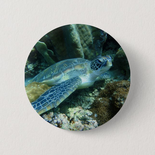 Sea Turtle on Seabed Photo 6 Cm Round Badge (Front)
