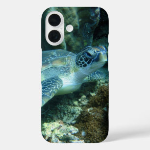 Sea Turtle on Seabed Photo iPhone 16 Case