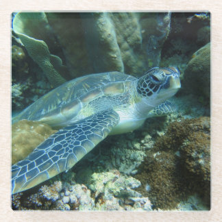 Sea Turtle on Seabed Photo Glass Coaster
