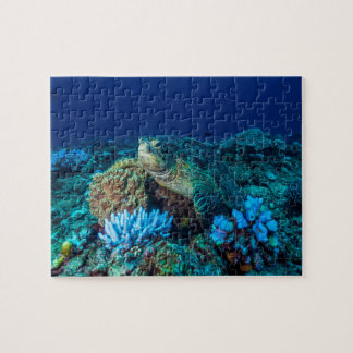 Sea Turtle on the Great Barrier Reef Jigsaw Puzzle