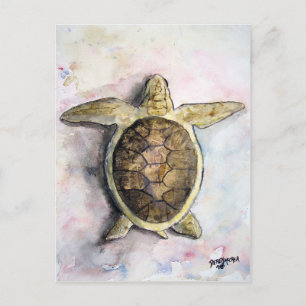 sea turtle painting art wild animal gifts postcard