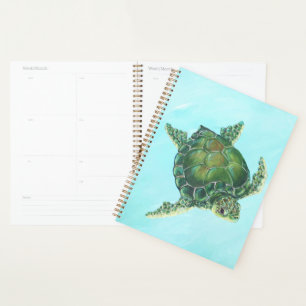 Sea Turtle Planner