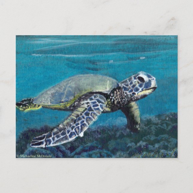 Sea Turtle Postcard (Front)