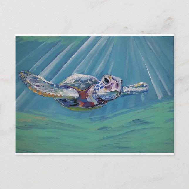 Sea turtle postcard (Front)