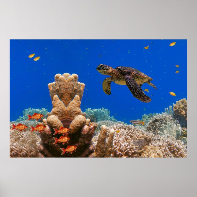 Sea Turtle Poster (Front)