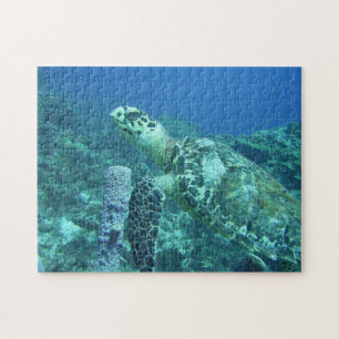 Sea Turtle Puzzle