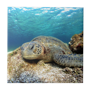 Sea turtle relaxing underwater in tropical ocean ceramic tile