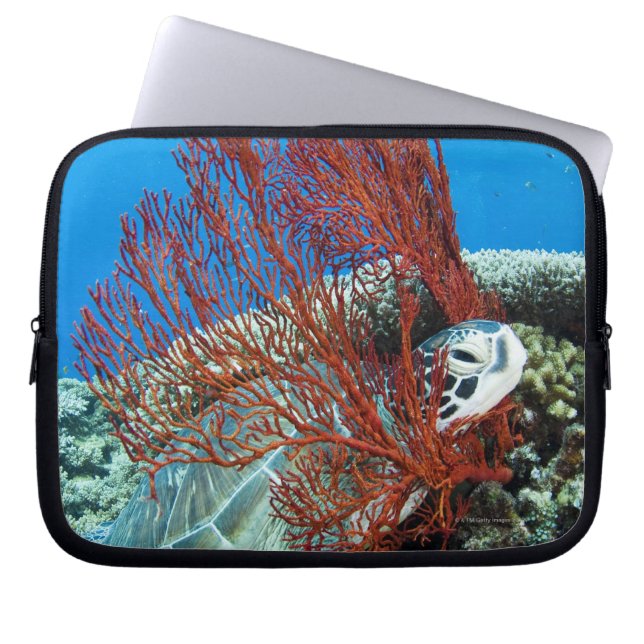 Sea Turtle Resting Laptop Sleeve (Front)