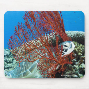Sea turtle resting underwater 2 mouse pad