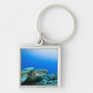 Sea turtle resting underwater key ring