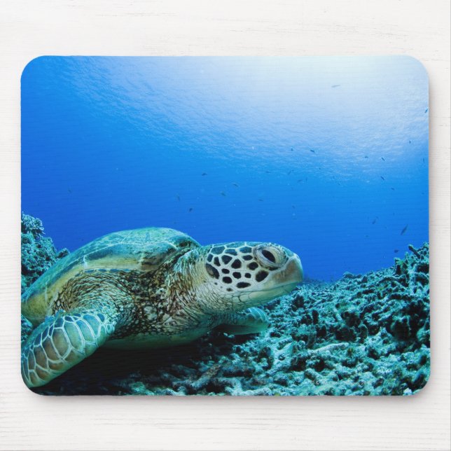 Sea turtle resting underwater mouse pad (Front)