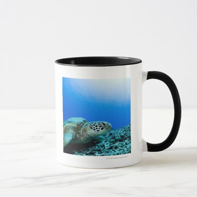 Sea turtle resting underwater mug (Right)