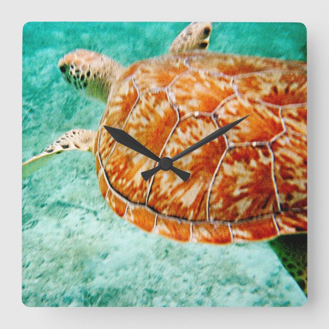 Sea Turtle Square Wall Clock (Front)