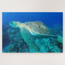 Sea Turtle Swimming 20"x30"