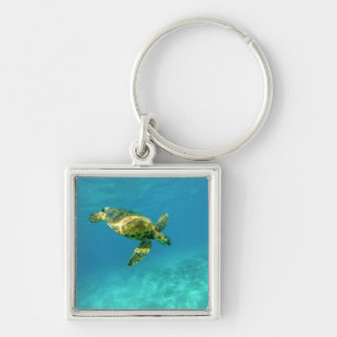 Sea Turtle swimming in turquoise ocean water Key Ring