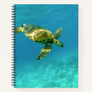 Sea Turtle swimming in turquoise ocean water Notebook