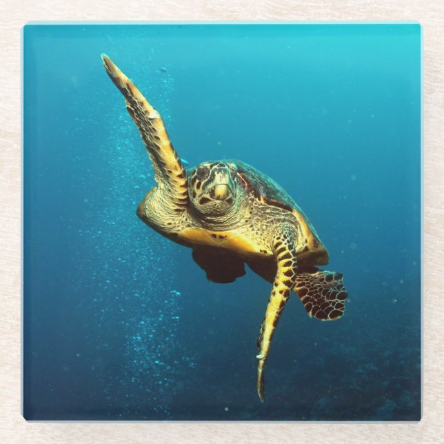 Sea Turtle Swimming Underwater Glass Coaster (Front)