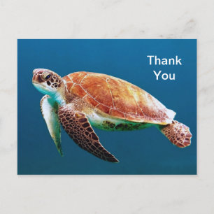Sea Turtle Thank You Postcard