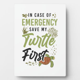 Sea Turtle Tortoise In Case Of Plaque
