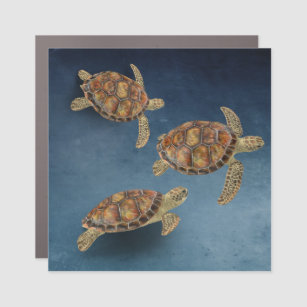 sea turtle trio car magnet