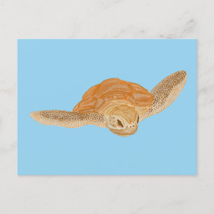 Sea Turtle under Water - transparent. Postcard