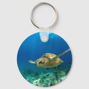Sea turtle underwater key ring