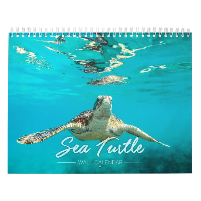 Sea Turtle Wall Calendar (Cover)