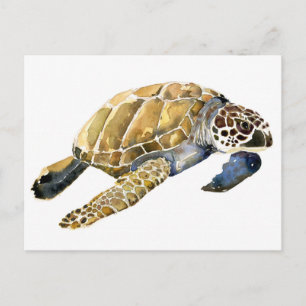 Sea Turtle watercolor sketch Postcard