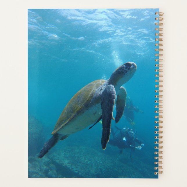 Sea Turtles And reptiles Wild Animal Photography Planner (Back)