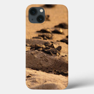 Sea Turtles iPhone 13 Case