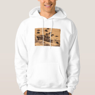 Sea Turtles Hoodie