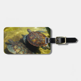 Sea Turtles Luggage Tag
