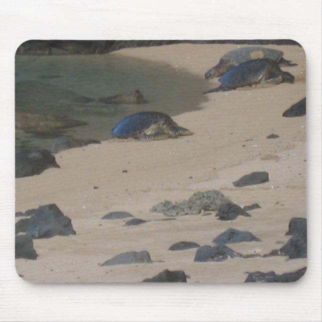 Sea turtles on Kaui's Na Pali coast mousepad (Front)