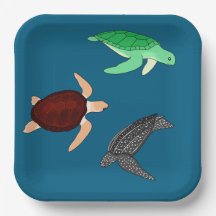 Sea Turtles