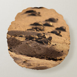 Sea Turtles Round Cushion