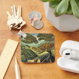 Sea Turtles Vintage Land Tortoise by Ernst Haeckel Key Ring